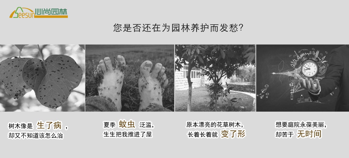 一飞冲天300倍游戏(中国游)·官方网站