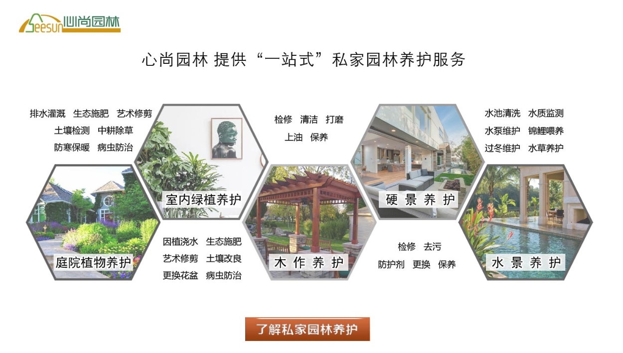 一飞冲天300倍游戏(中国游)·官方网站