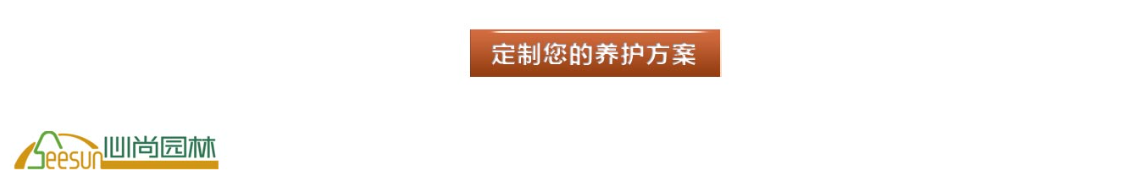 一飞冲天300倍游戏(中国游)·官方网站
