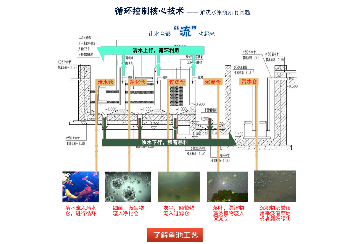 一飞冲天300倍游戏(中国游)·官方网站