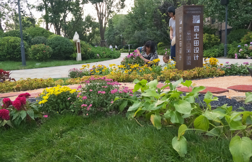 庭院景观-别墅花园设计公司-企业景观-北京庭院绿化-露台景观